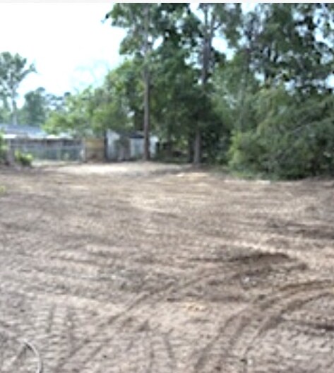 After - Tree Removal