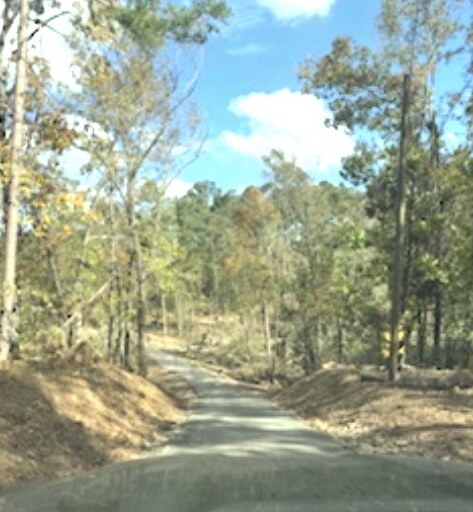 After - Extensive Tree Removal
