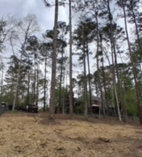 After - Tree Removal